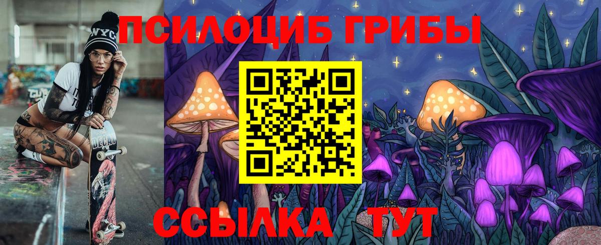 Псилоцибиновые грибы MAGIC MUSHROOMS Петропавловск-Камчатский