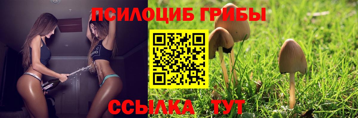 Псилоцибиновые грибы Magic Shrooms  Вход с VPN  Петропавловск-Камчатский 